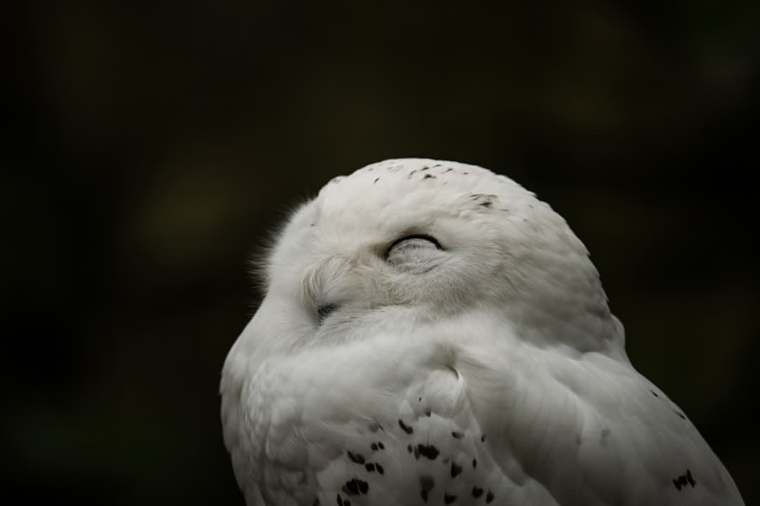 紧迫救援，AED显神通